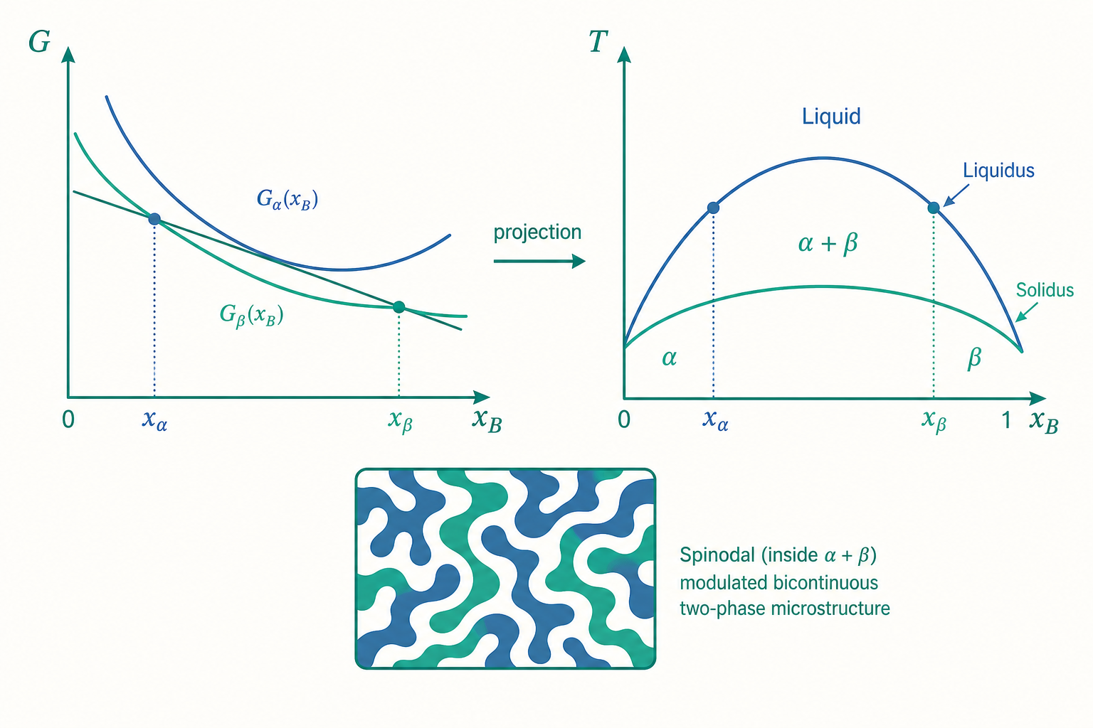 相圖進階概念示意圖